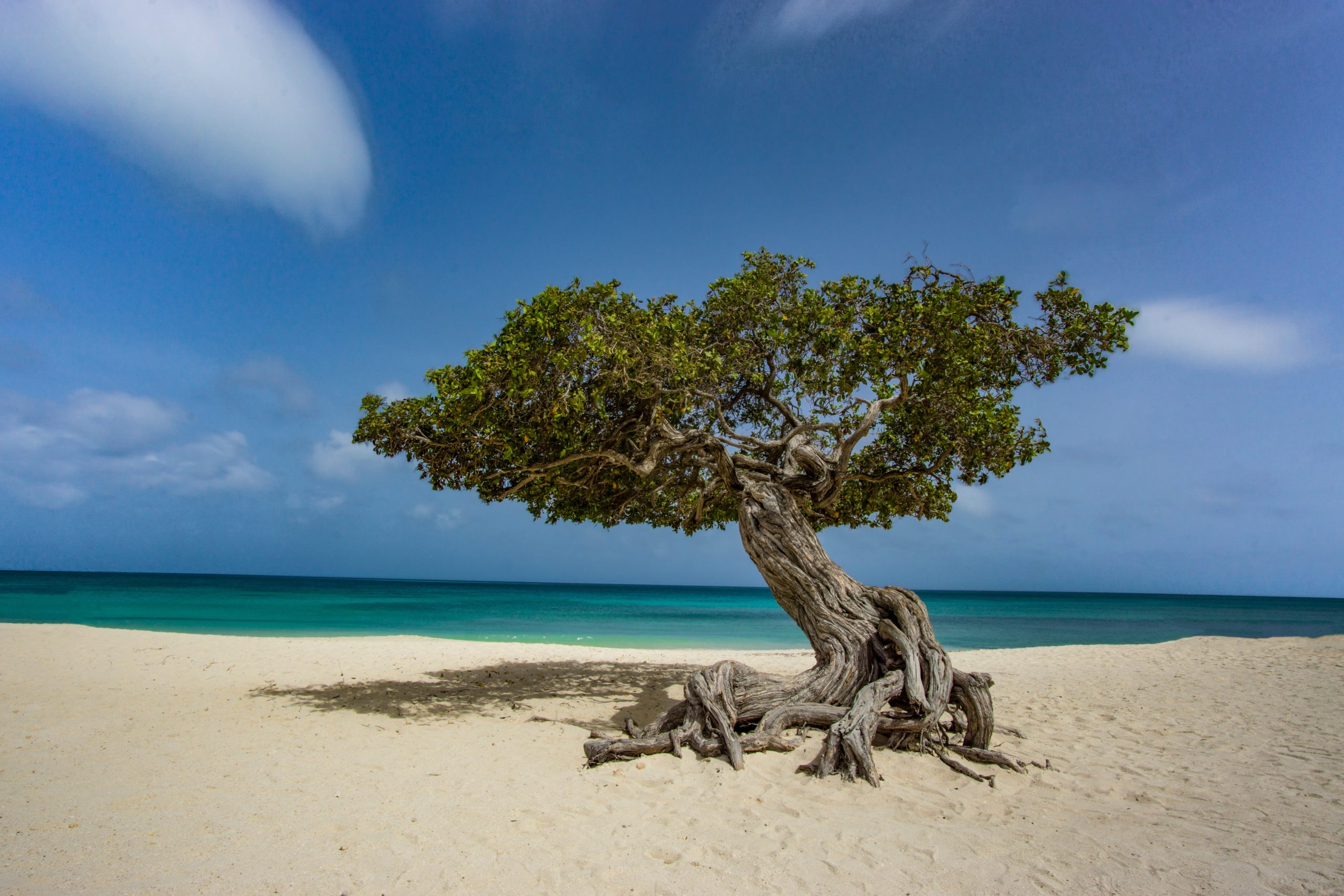 Paradise Beach Villas