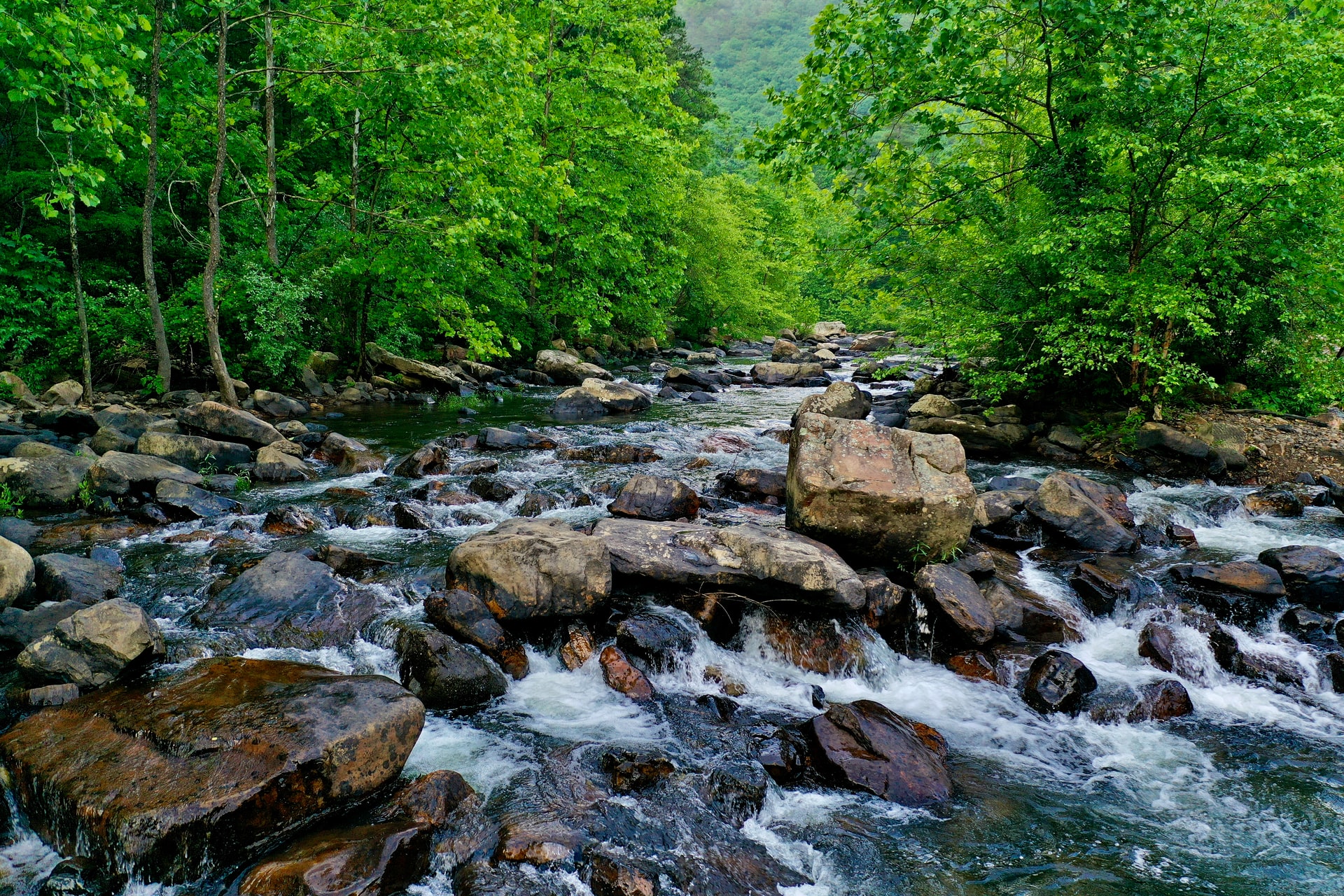 Virginia