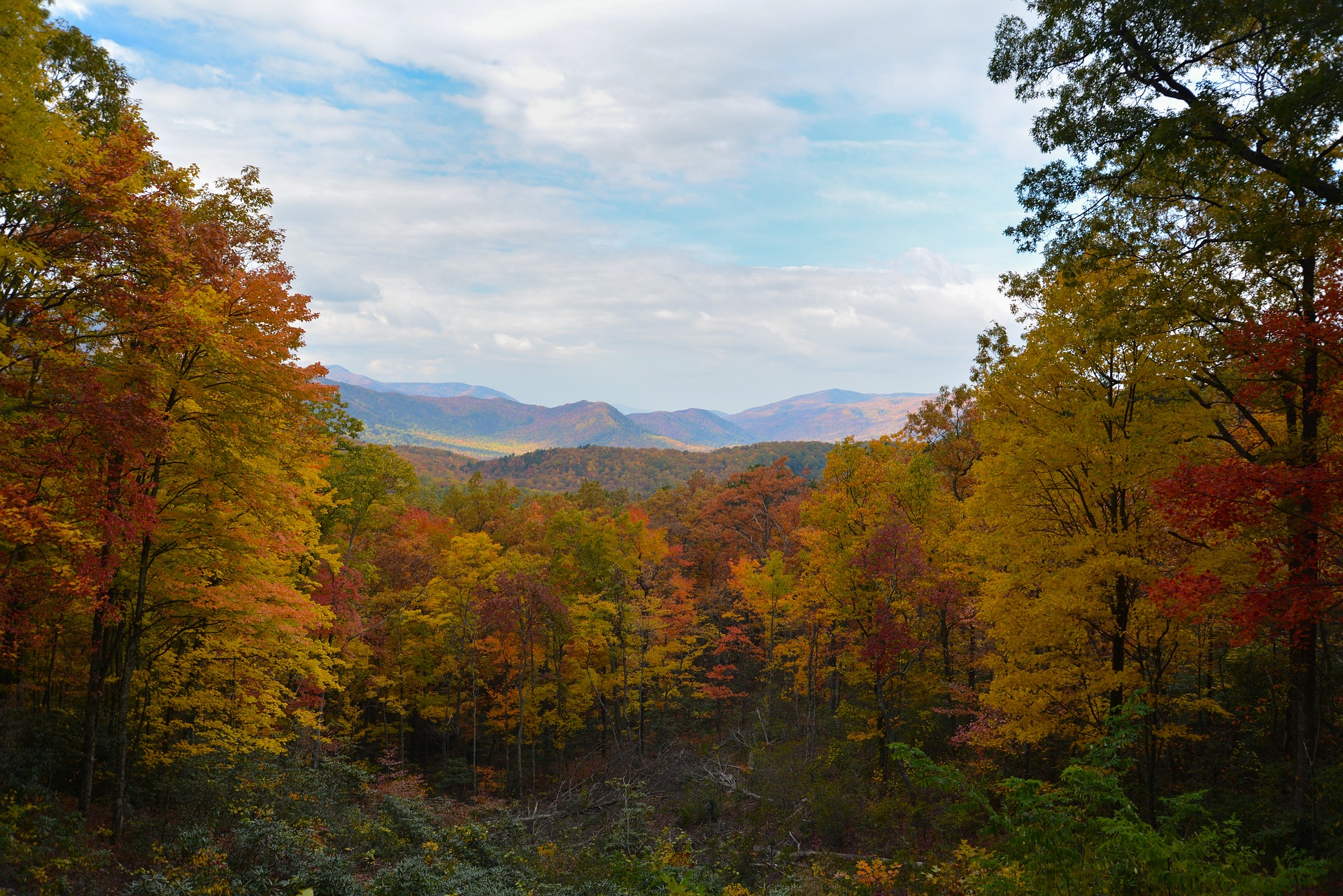 Gatlinburg, TN